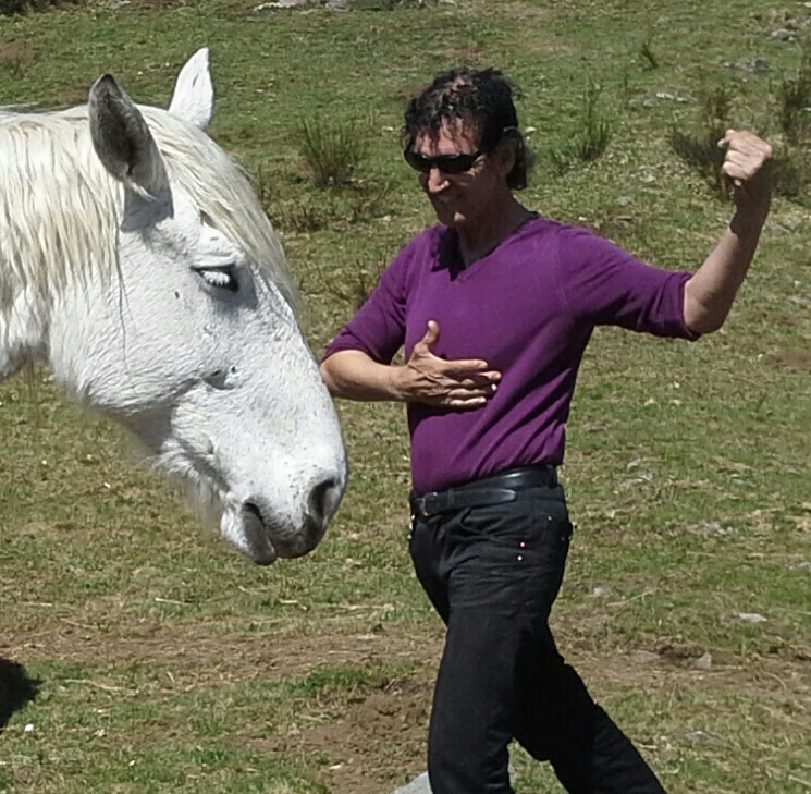 201504 HOUCINE CHEVAL ABRAZO.jpg